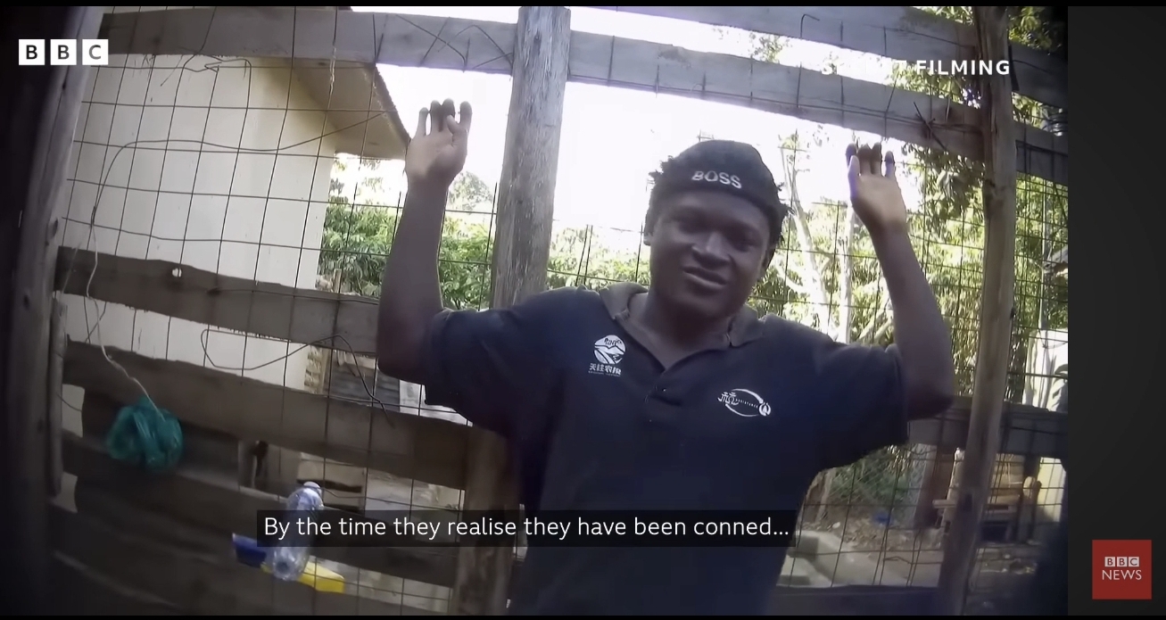 BBC Exposes Dog Rescue Scam in Uganda Exploiting Global Donors